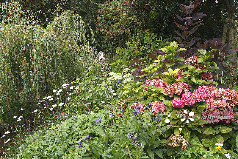 法国索姆湾的私人花园图片素材