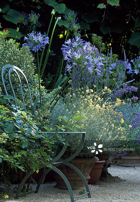 亚历山大·托马斯作品图片素材