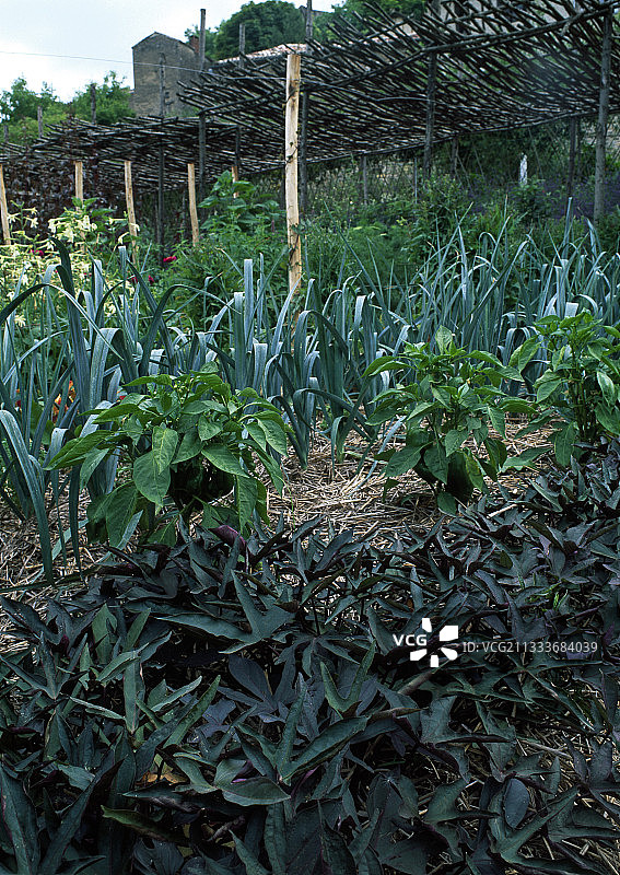 Maurieres和Ossart的创作图片素材