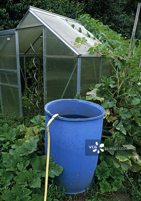 花园容器中的储水图片素材