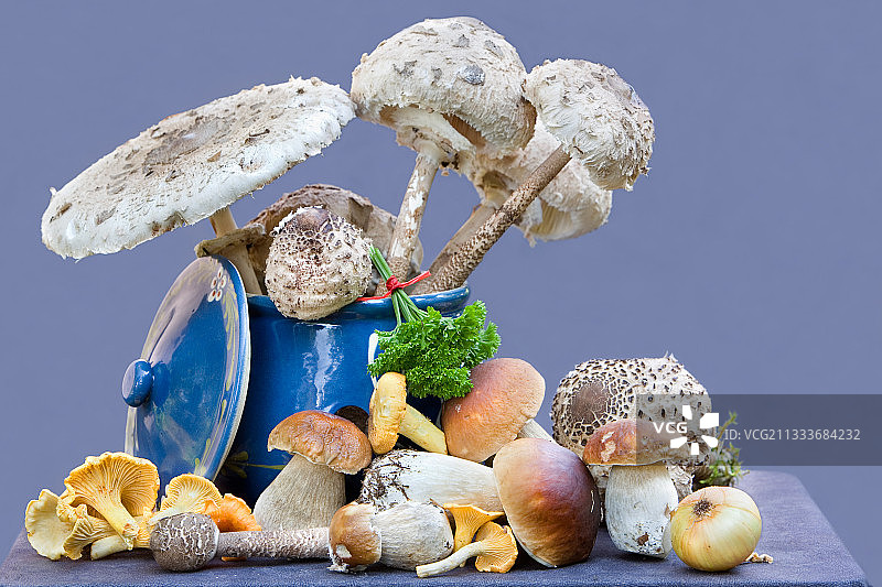 долине 静物蘑菇图片素材