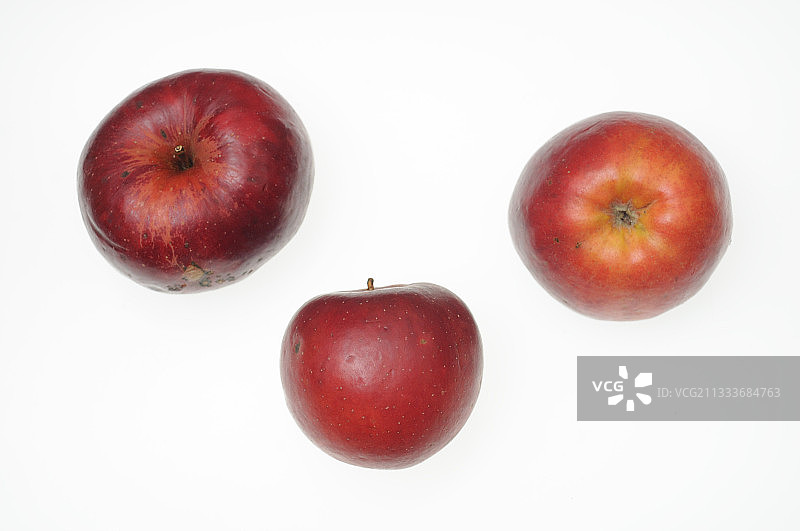 弗朗什-孔泰北部区域水果品种保护协会图片素材