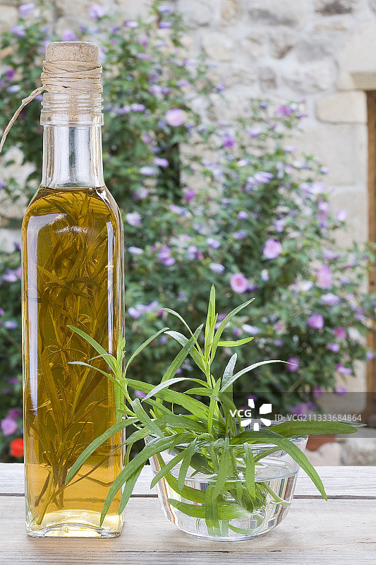 龙蒿醋瓶和新鲜龙蒿枝图片素材