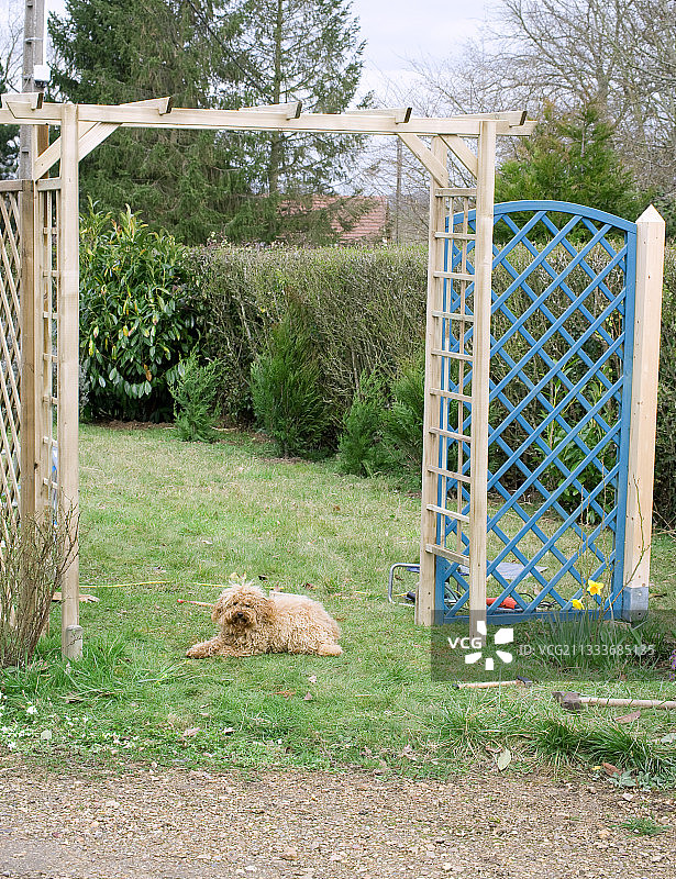 花园里的凉棚建造图片素材