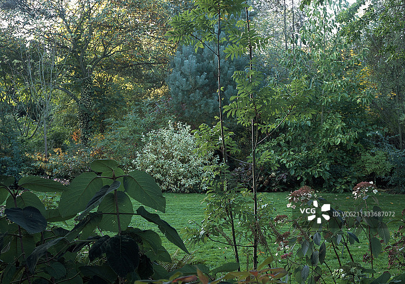 秋天的贝尔维尤花园图片素材