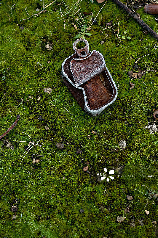 草地上的沙丁鱼冰盒图片素材