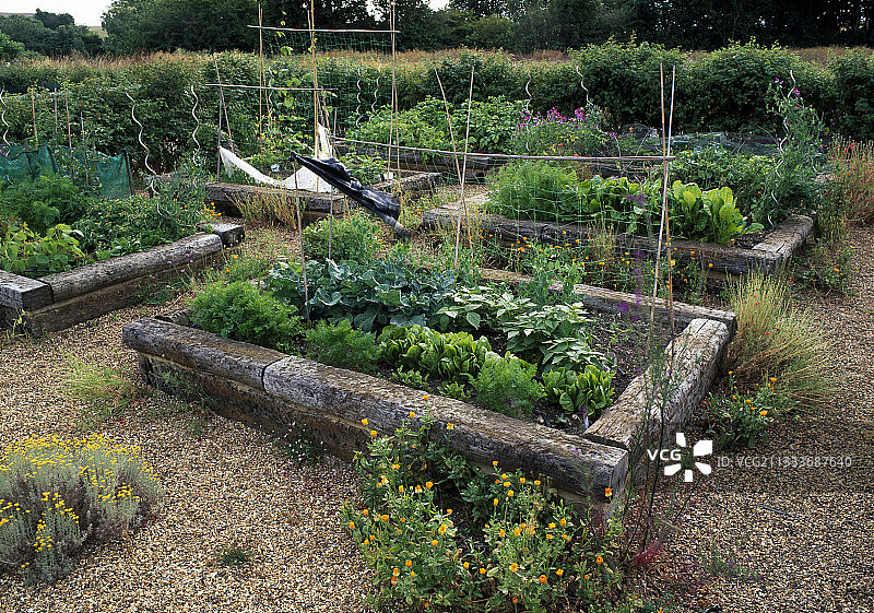 英国雉鸡谷仓厨房花园的蔬菜图片素材