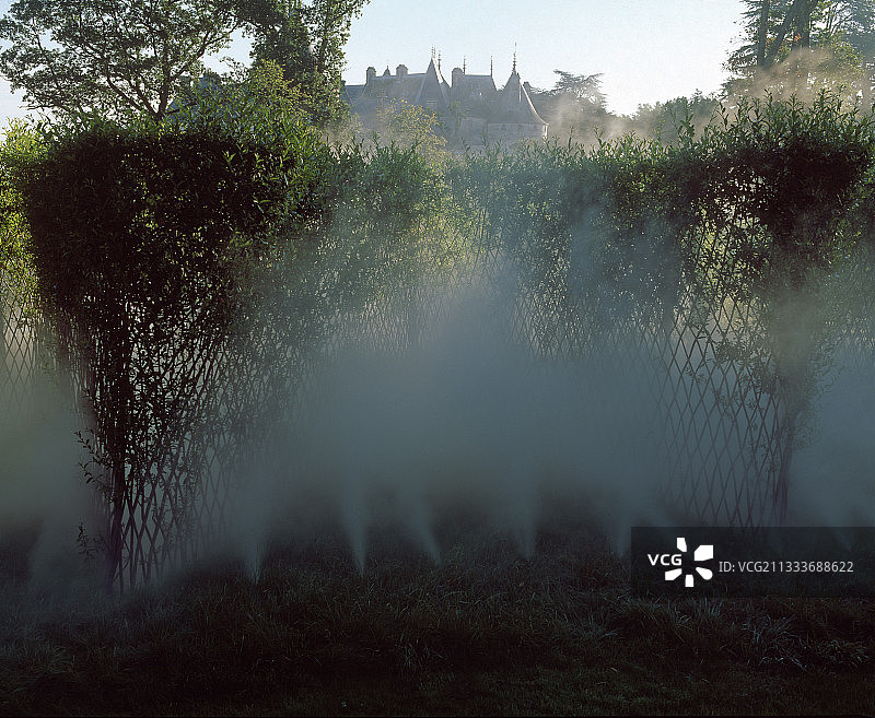 维莱讷黑柳树，卢瓦尔河畔肖蒙节图片素材