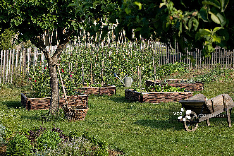 法国普罗旺斯的厨房花园图片素材
