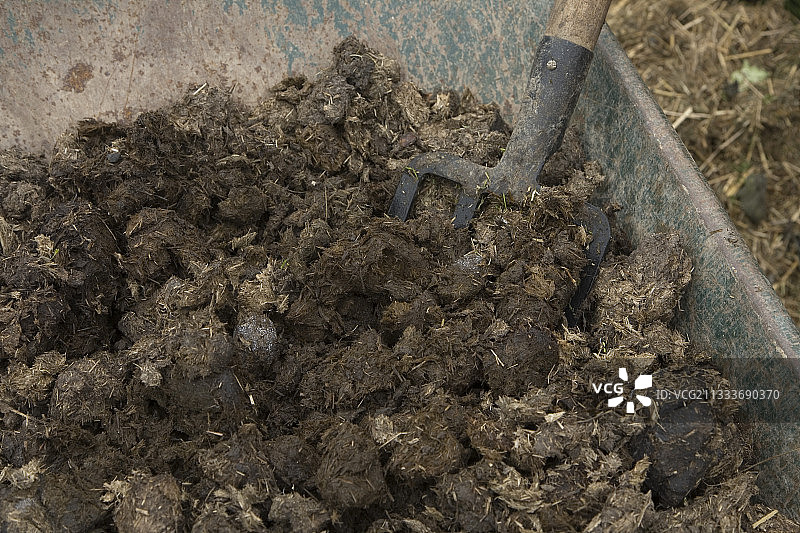 用于堆肥的马粪图片素材