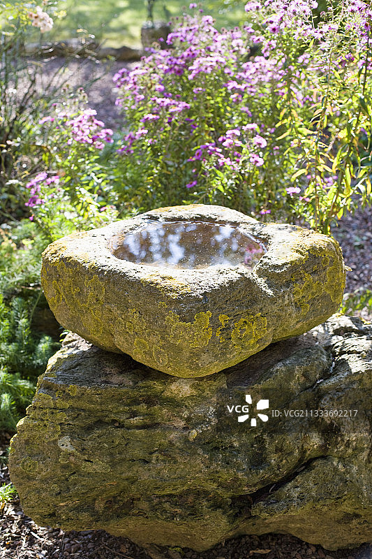 这里是鸟类的饮水处图片素材