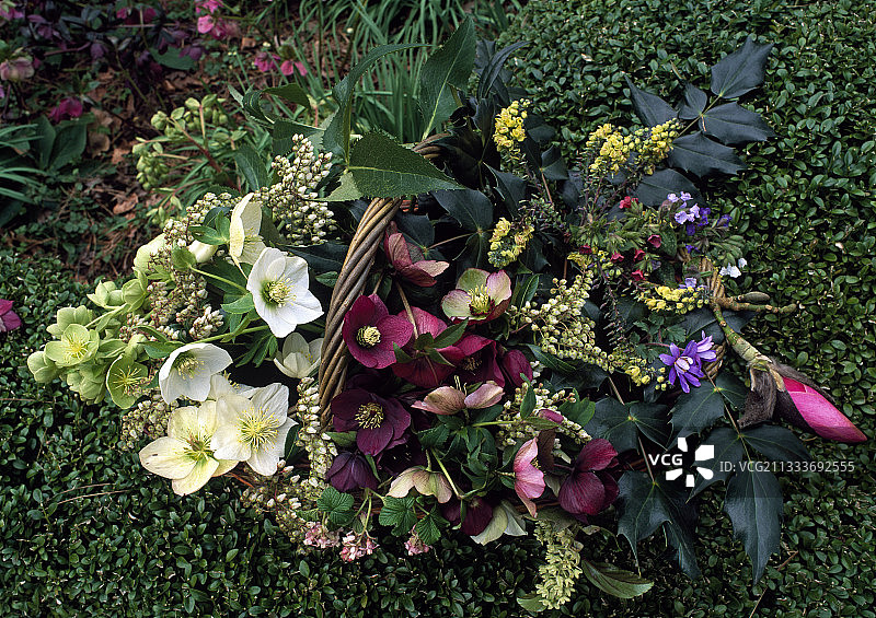 冬季花园里的篮装花束图片素材