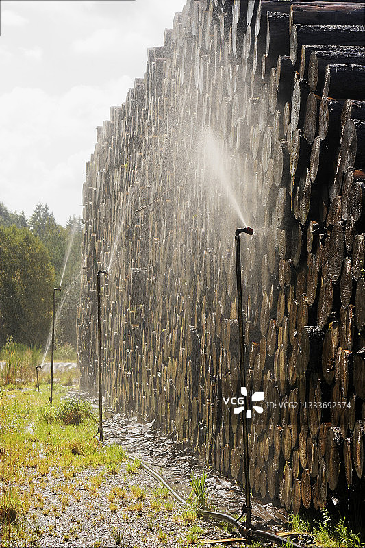 1999年12月暴风雨后建立的木材湿法储存，旨在确保持久保存风倒木。图片素材