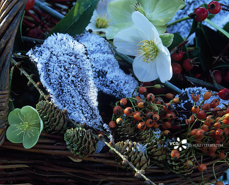冬季花园里的篮装花束图片素材