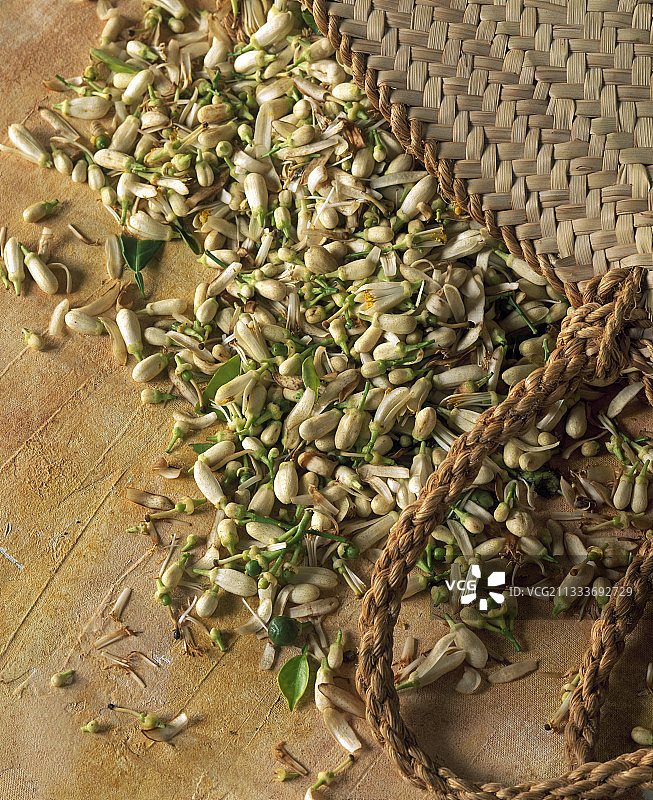 橙子树花朵图片素材