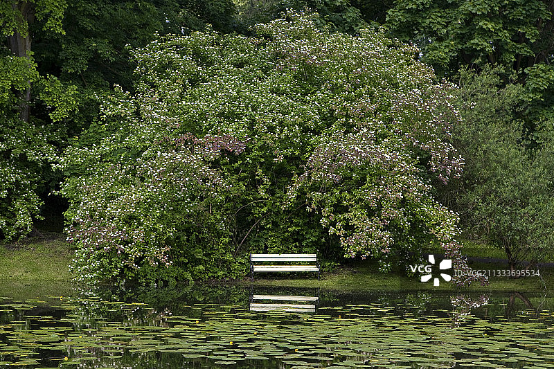波兰华沙维拉努夫宫花园里的长椅图片素材