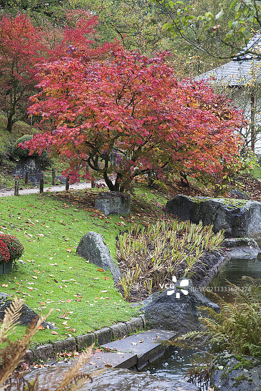 比利时哈瑟尔特日式花园图片素材