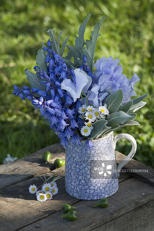 花园里水罐中的蓝色花束图片素材