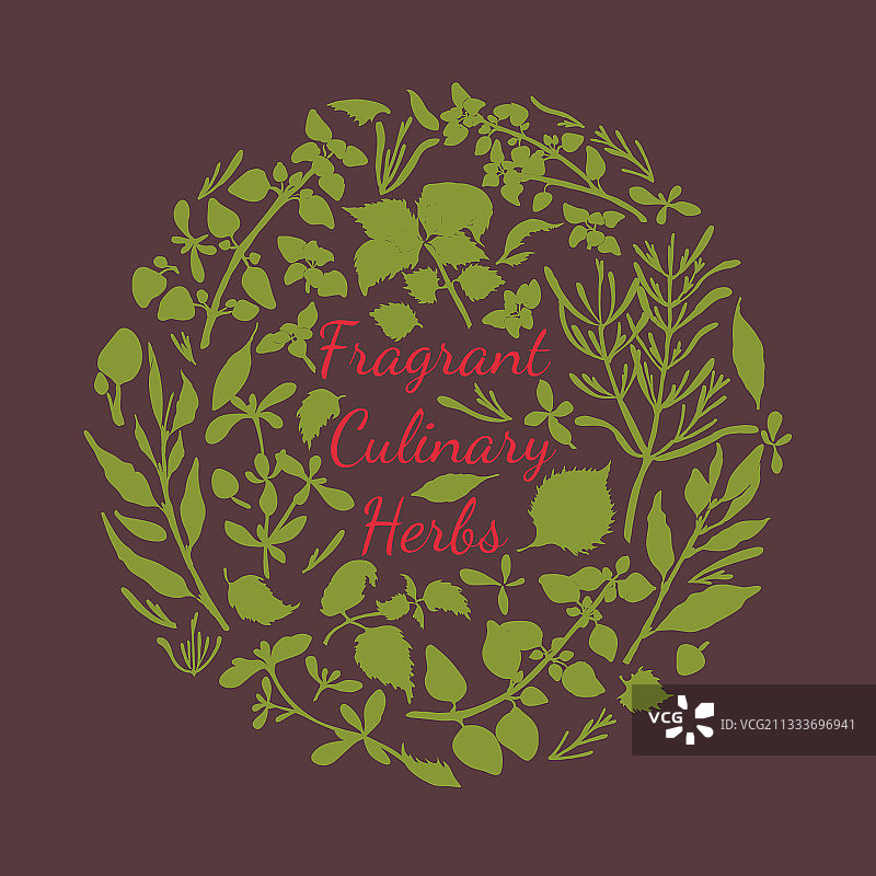 香草烹饪海报标志或卡片图片素材