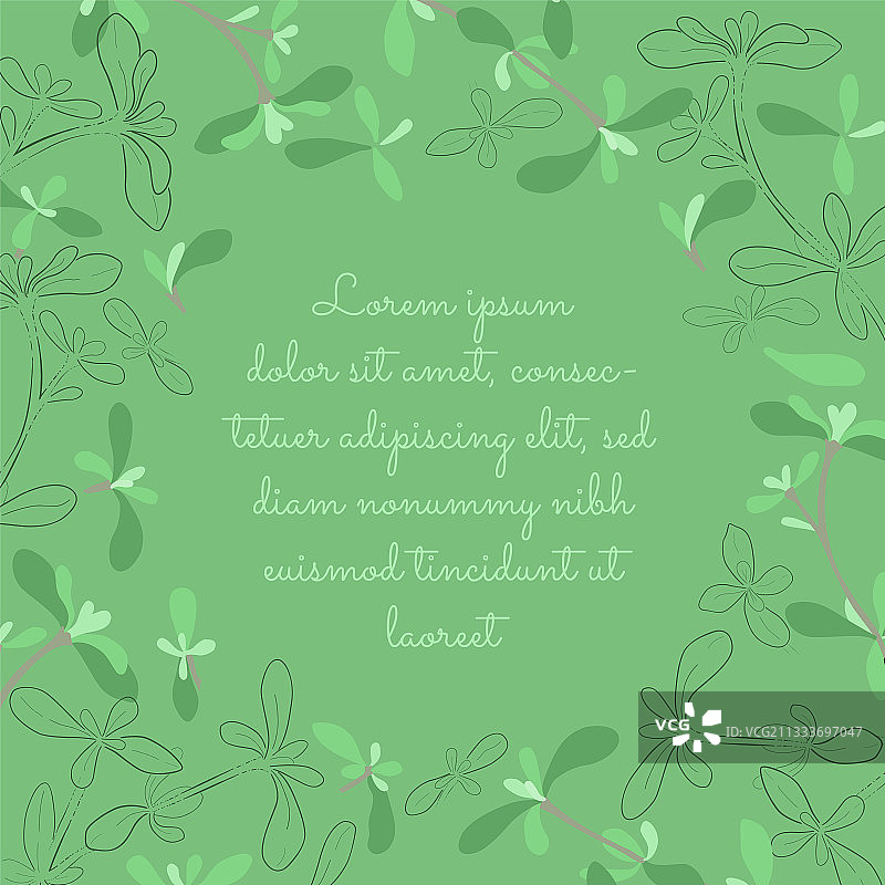 柔和色卡片与百里香叶和树枝图片素材