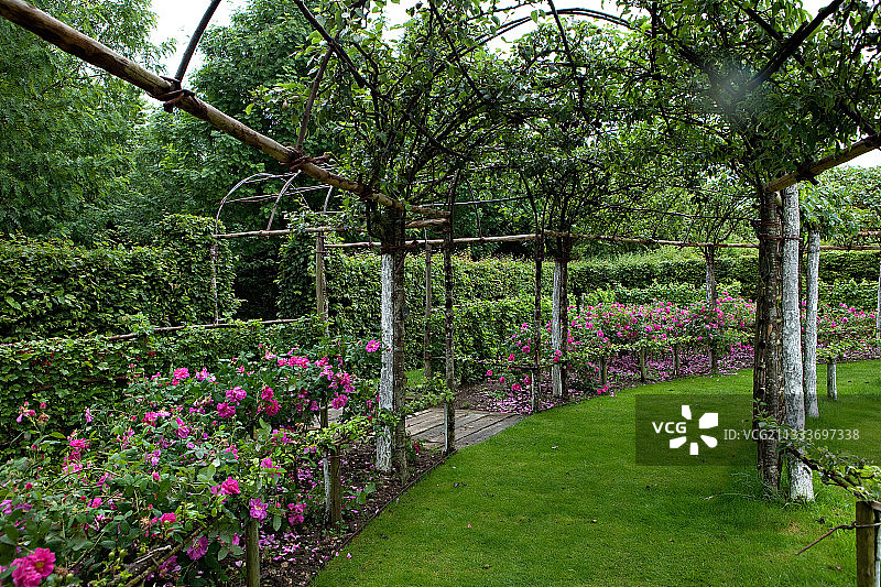 法国花园：梨树、篱笆和玫瑰图片素材