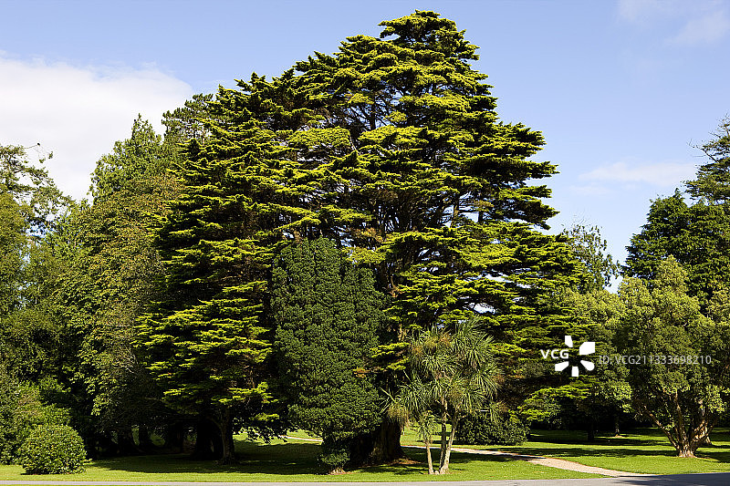 爱尔兰约翰斯顿城堡公园和植物园图片素材