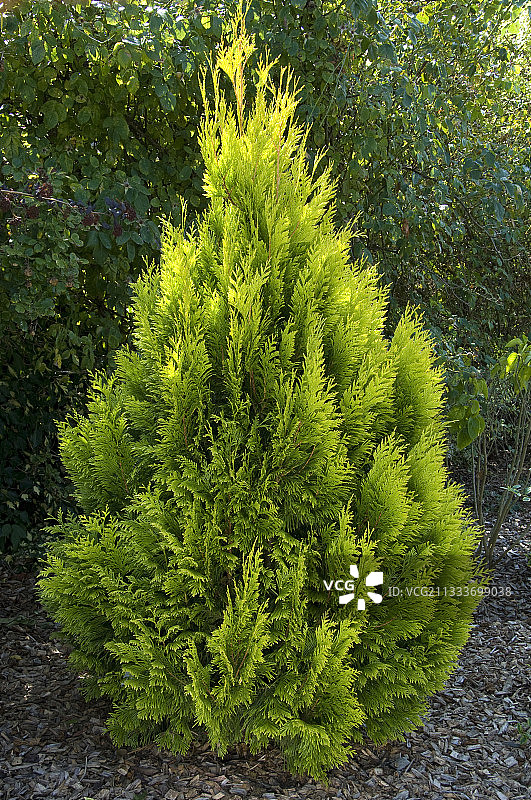 植物苗圃地球造型花盆图片素材