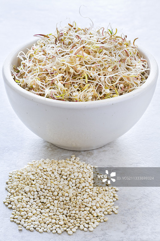 碗里发芽的藜麦种子图片素材