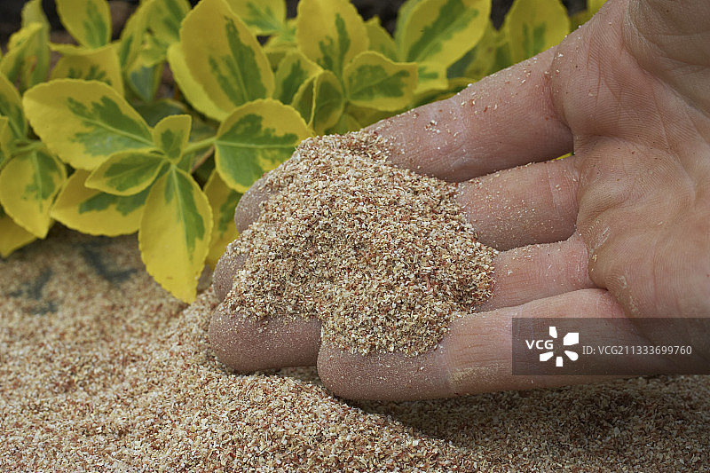 用于花园保水的粉末图片素材