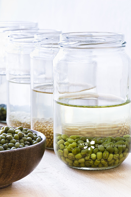 萌发前浸泡在水中的盆栽干种子图片素材