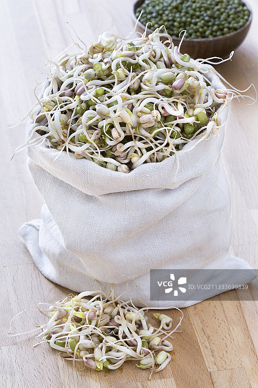 亚麻袋里的绿豆芽种子图片素材