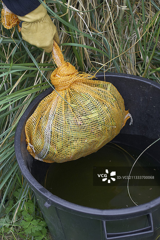 在花园里为堆肥充氧器准备肥料图片素材