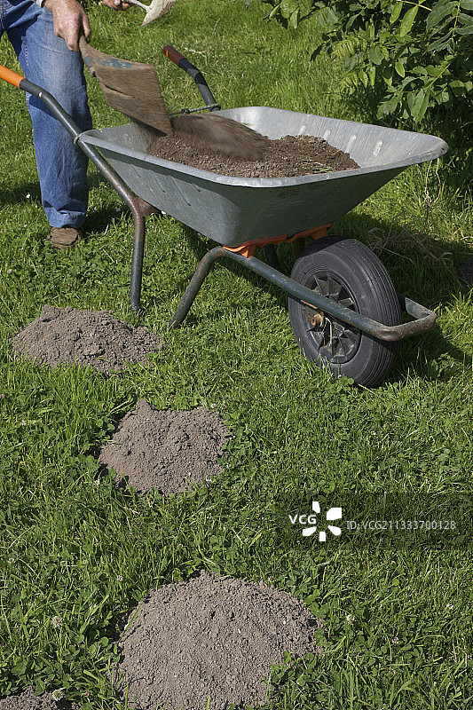 手推车中的鼹鼠丘土壤，用于播种和换盆图片素材