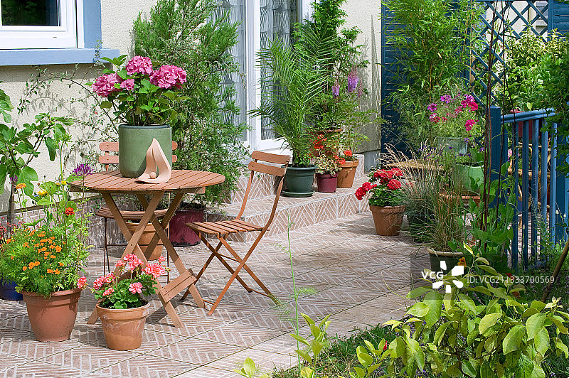 花园露台上盛开的绣球花图片素材