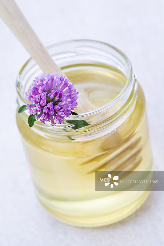 三叶草蜂蜜花图片素材