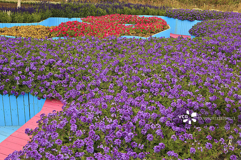 哈哈！图片素材