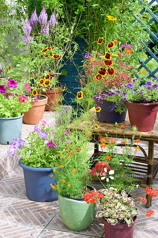 夏季鲜花盛开的花园露台图片素材