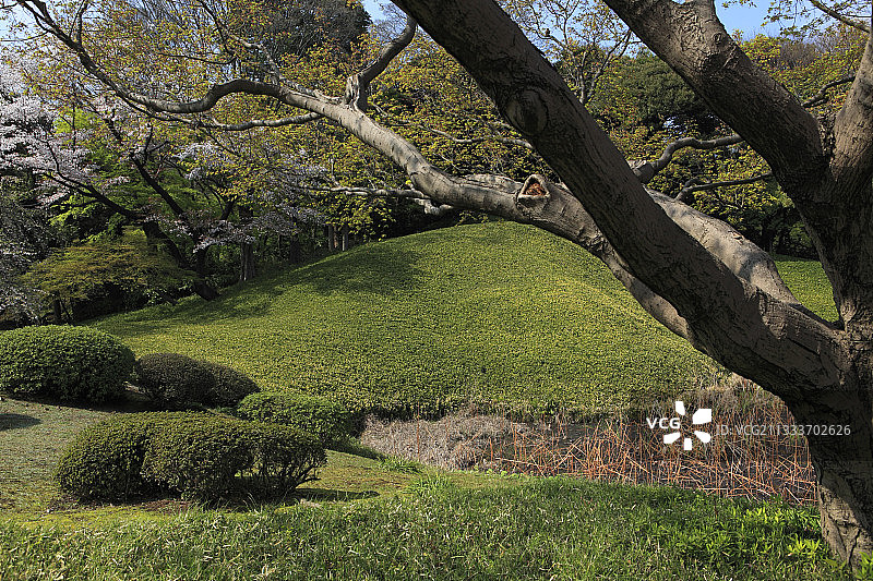 日本东京小石川后乐园图片素材