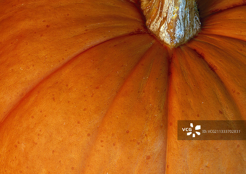南瓜的特写图片素材