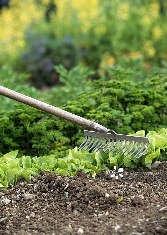 白底盒子里的笔记本页面图片素材