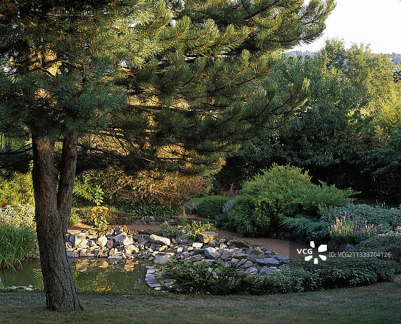 小树林花园图片素材