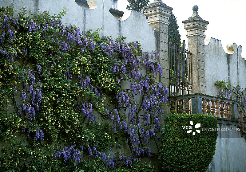 卡波尼别墅的秘密花园，意大利图片素材