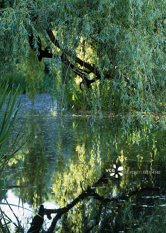 护城河中的垂柳，英国图片素材