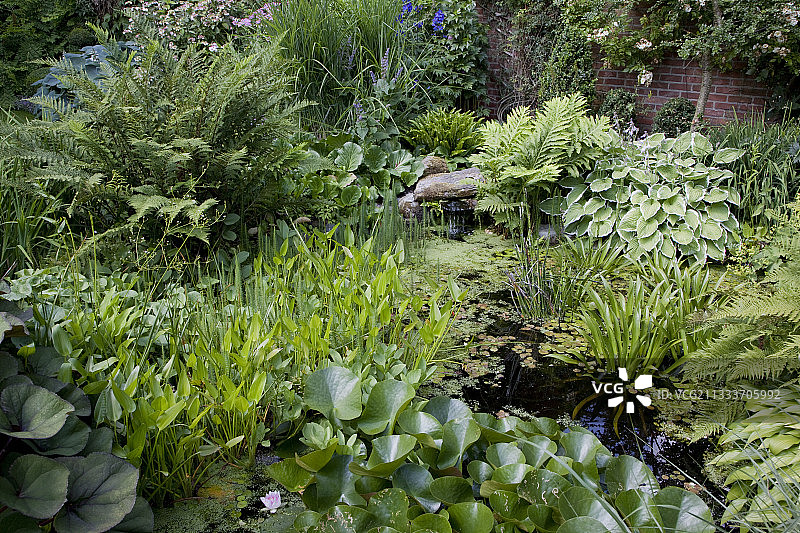 春季花园池塘图片素材