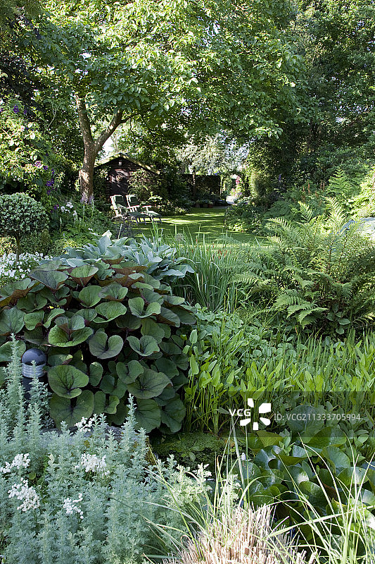 春季花园池塘图片素材