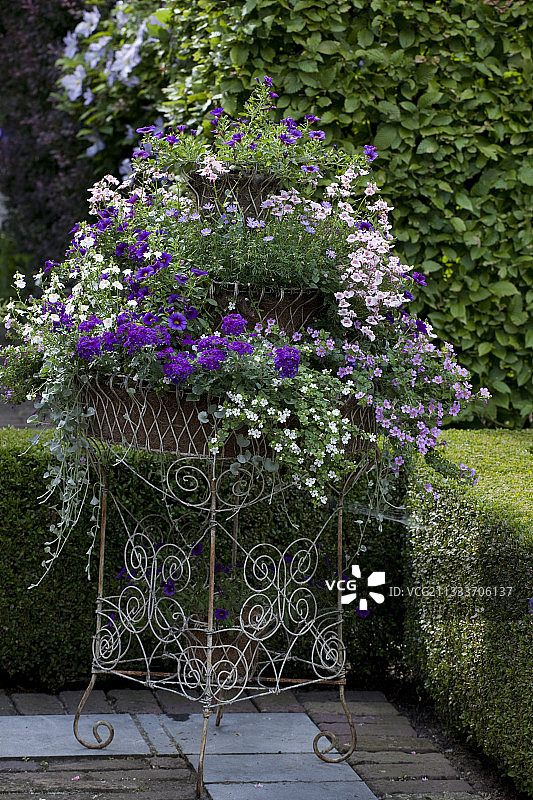 花园露台上的花卉容器图片素材