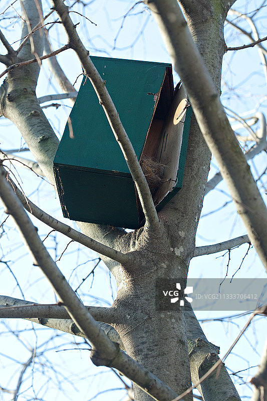 花园树上损坏的繁殖笼图片素材