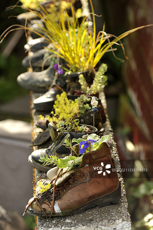新西兰花园里的鞋子图片素材
