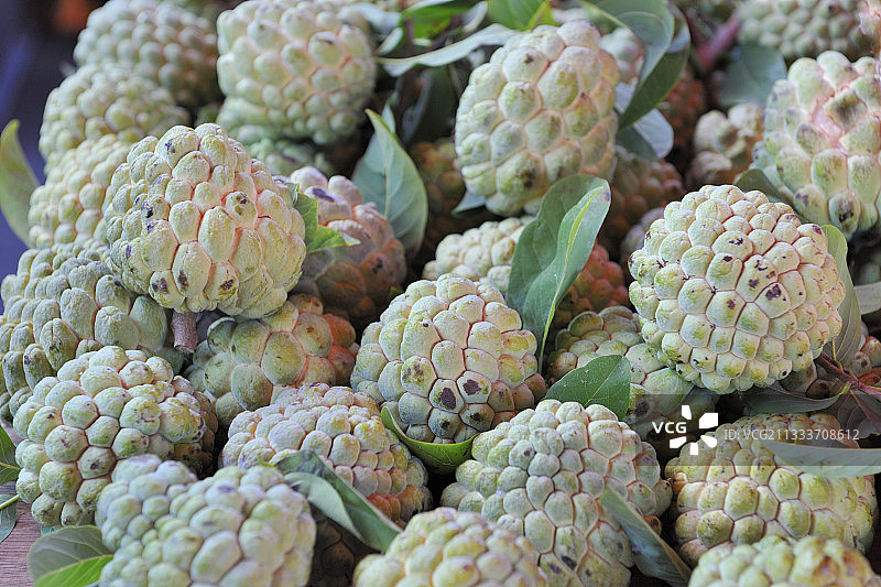 番荔枝，留尼汪图片素材