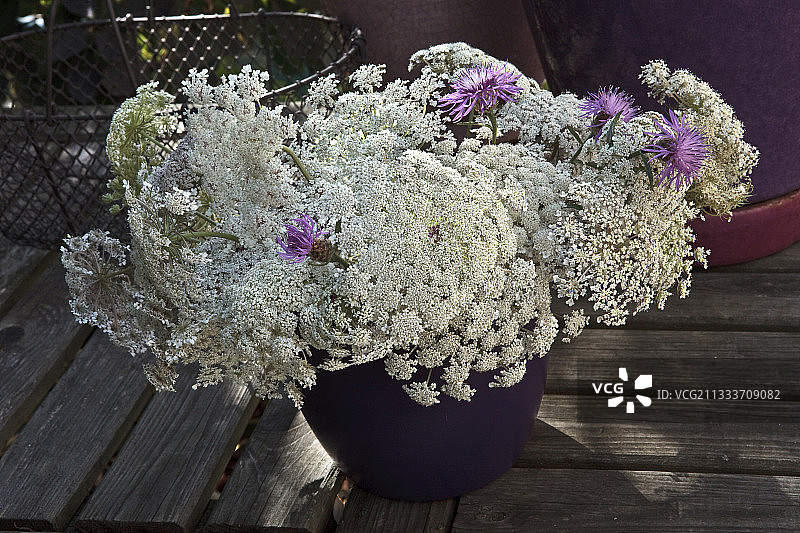 花园露台上的野胡萝卜花花束图片素材